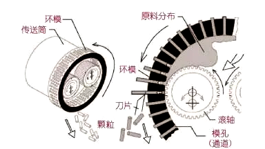 颗粒机环模